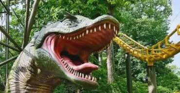 Custom Fabrication service - Custom fabrication for one-off themed props, interactive sta...